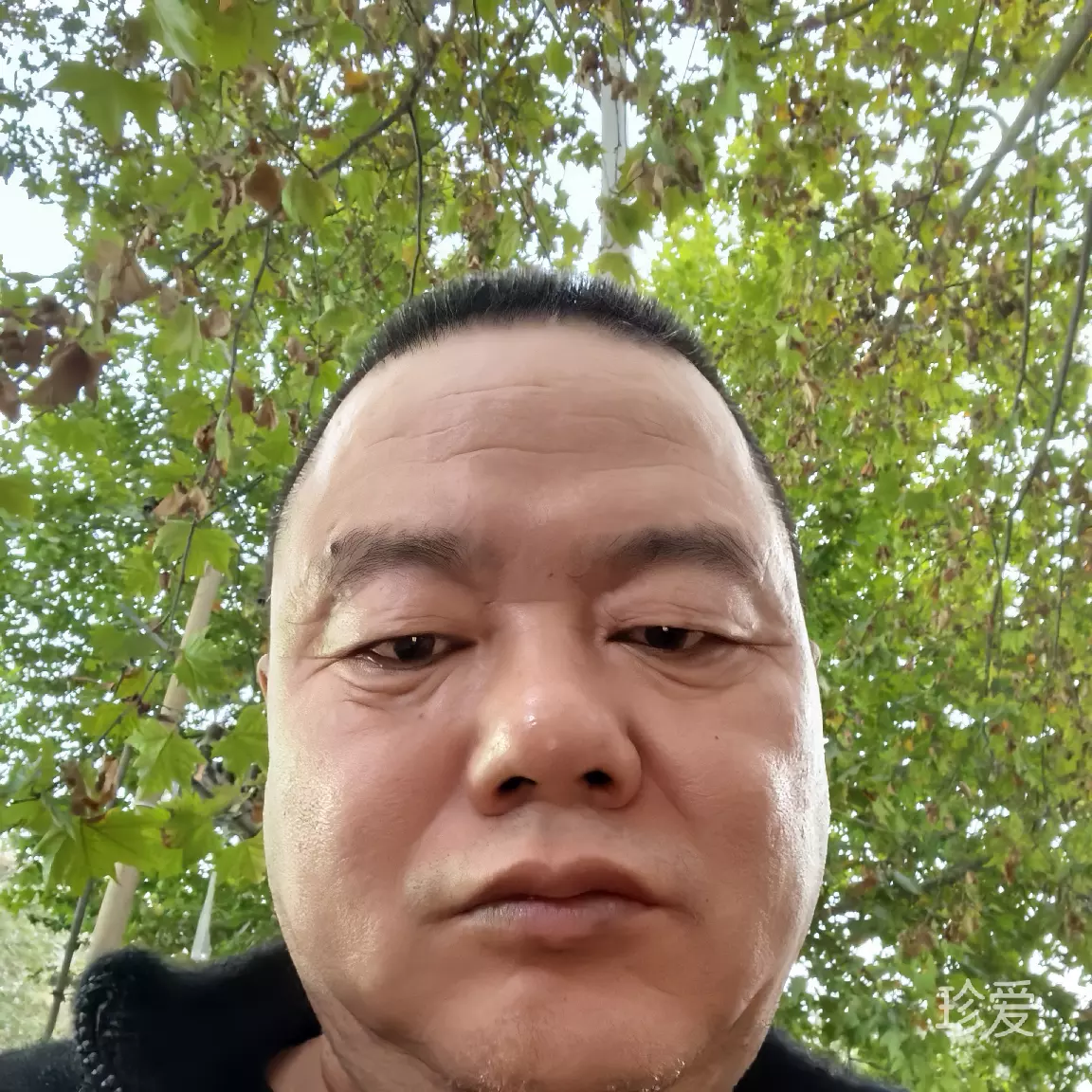 平淡而平凡