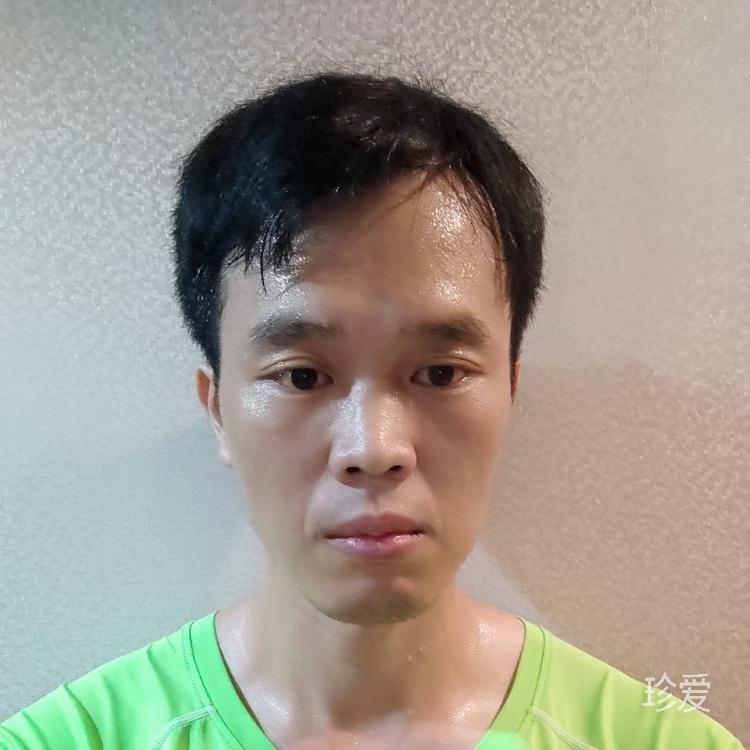 不自律的小白杨