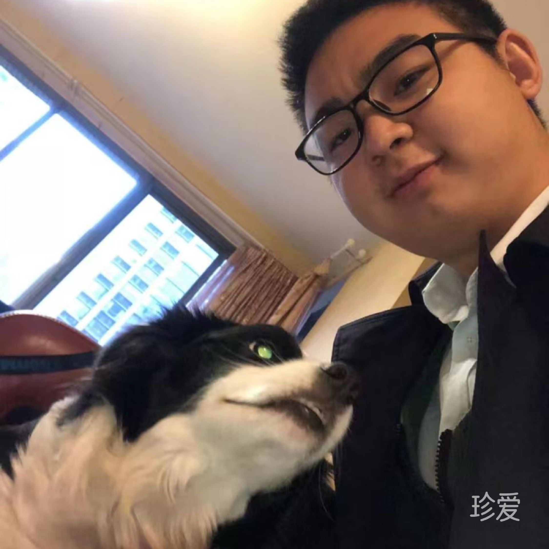 风禾尽起