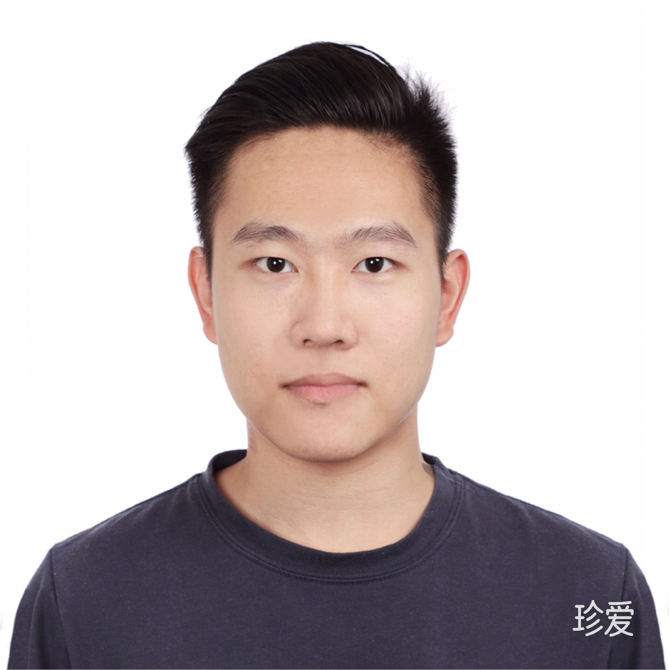 龙阳