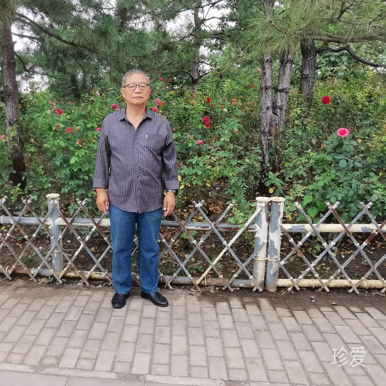 红尘无悔