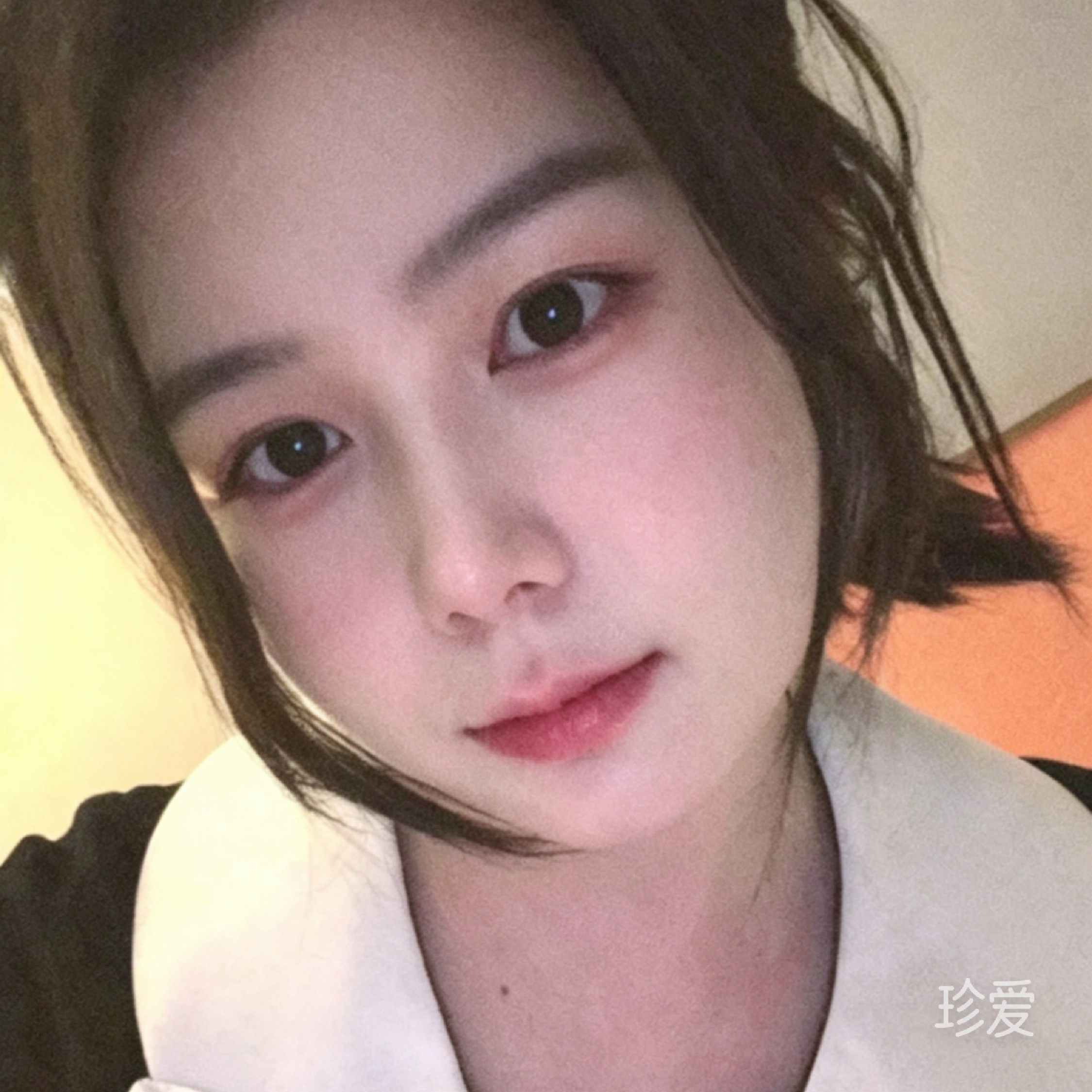 知屿星河纪事