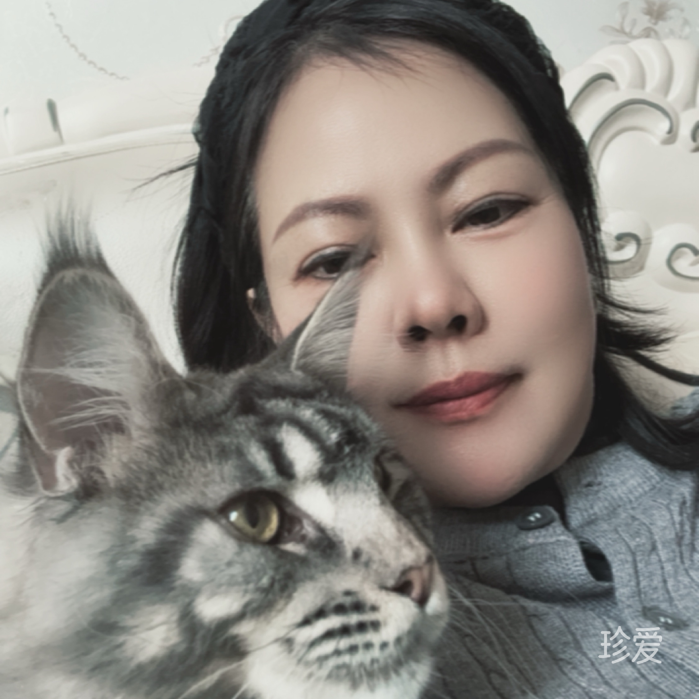 阳光下的季节