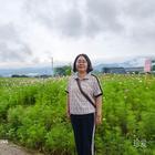 歲月靜好