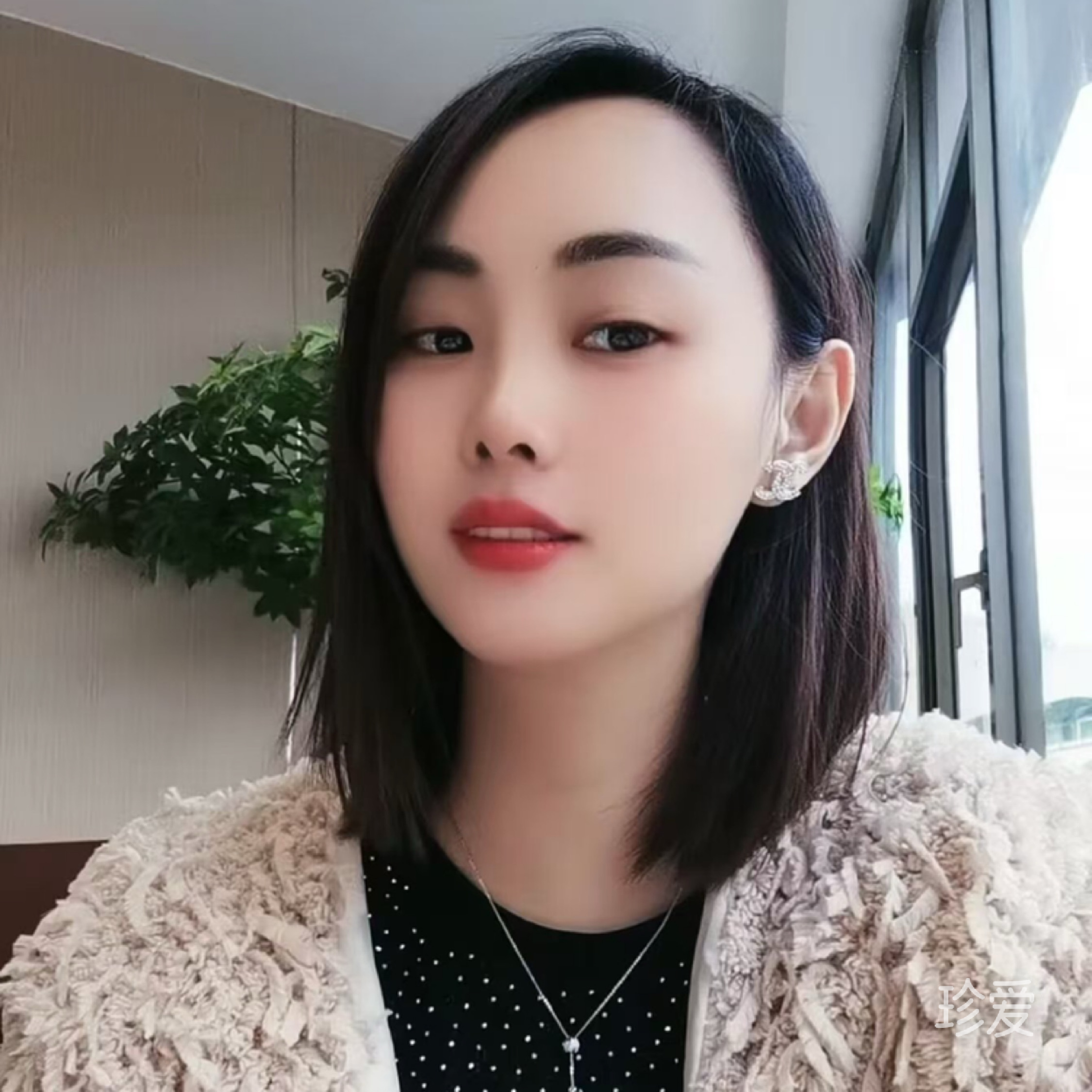 小白菜