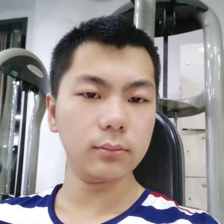 落葉隨風(fēng)的安