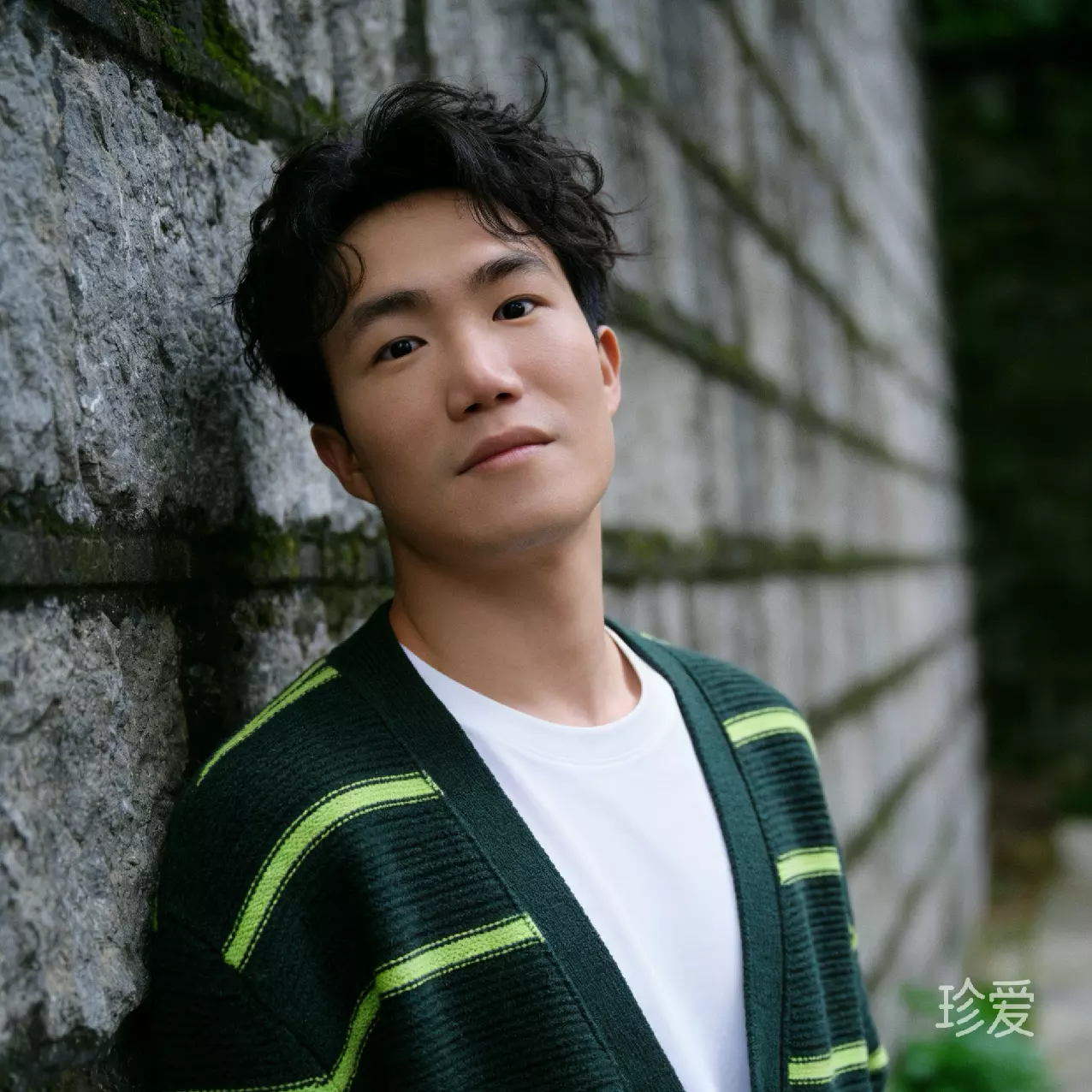 喜马小龙