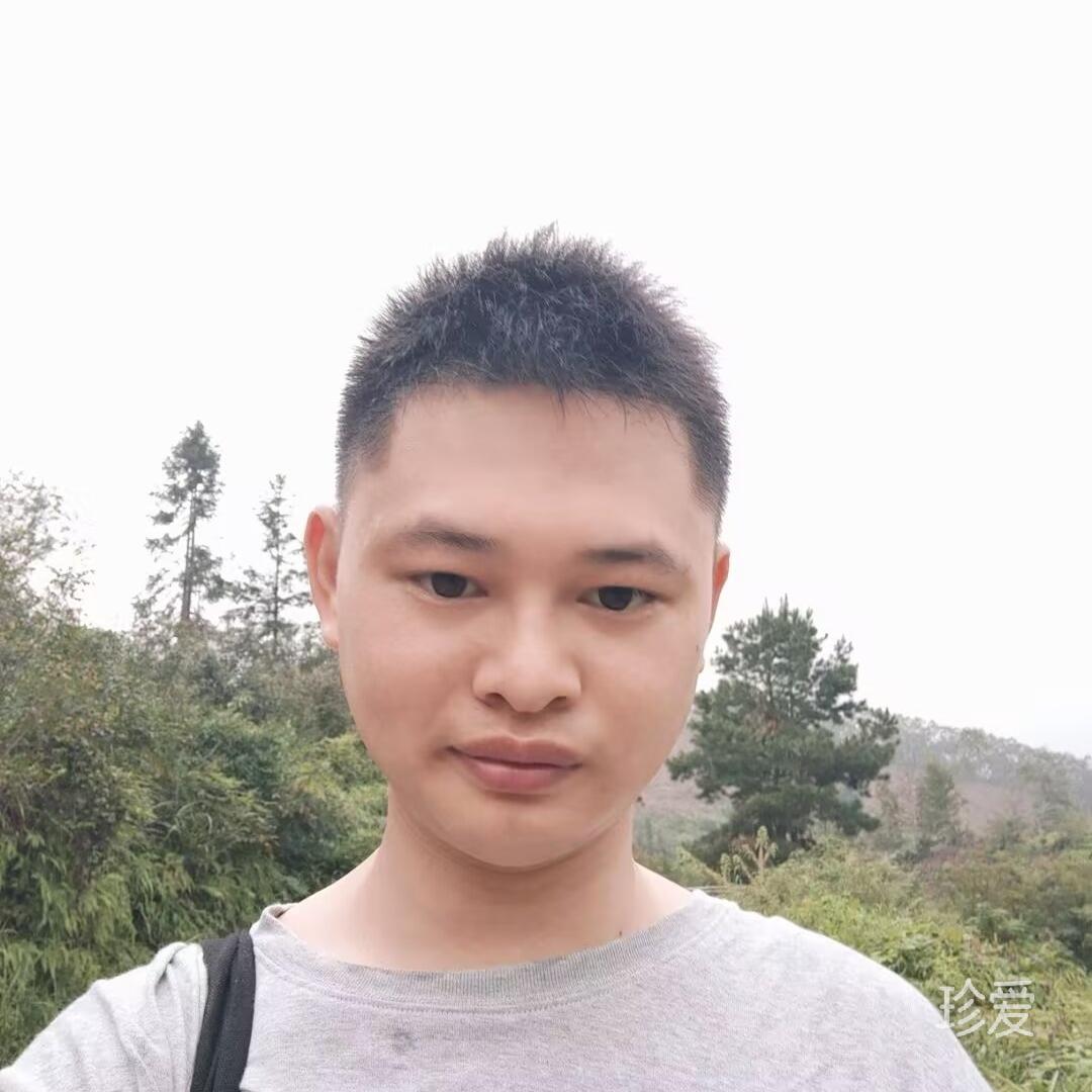 受伤的小鸟
