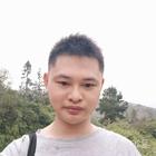 受伤的小鸟