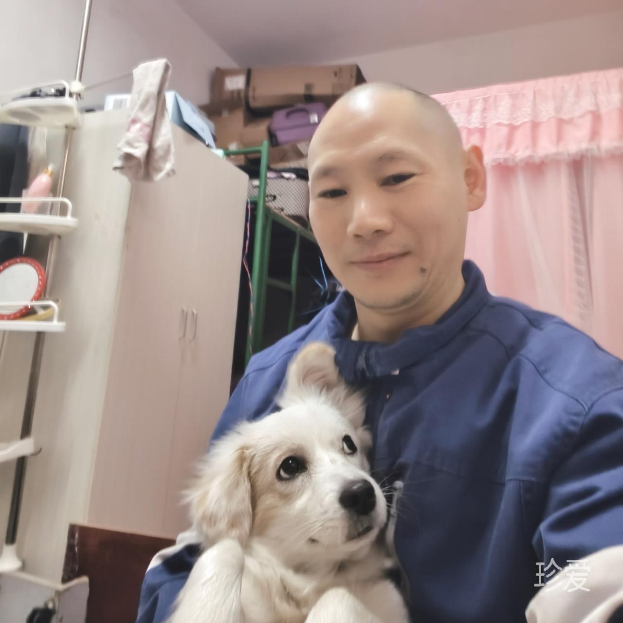 檐下等风归