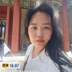 森林里的鹿