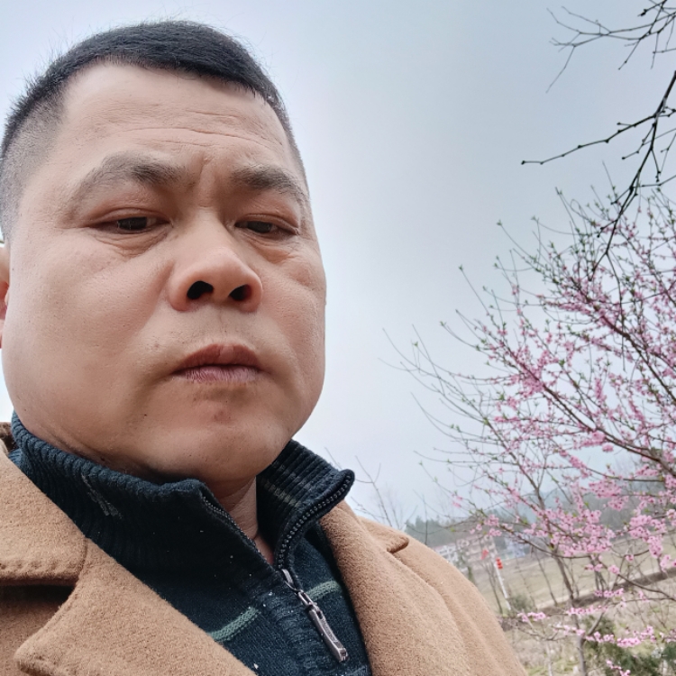 寻找缘分顾家的人