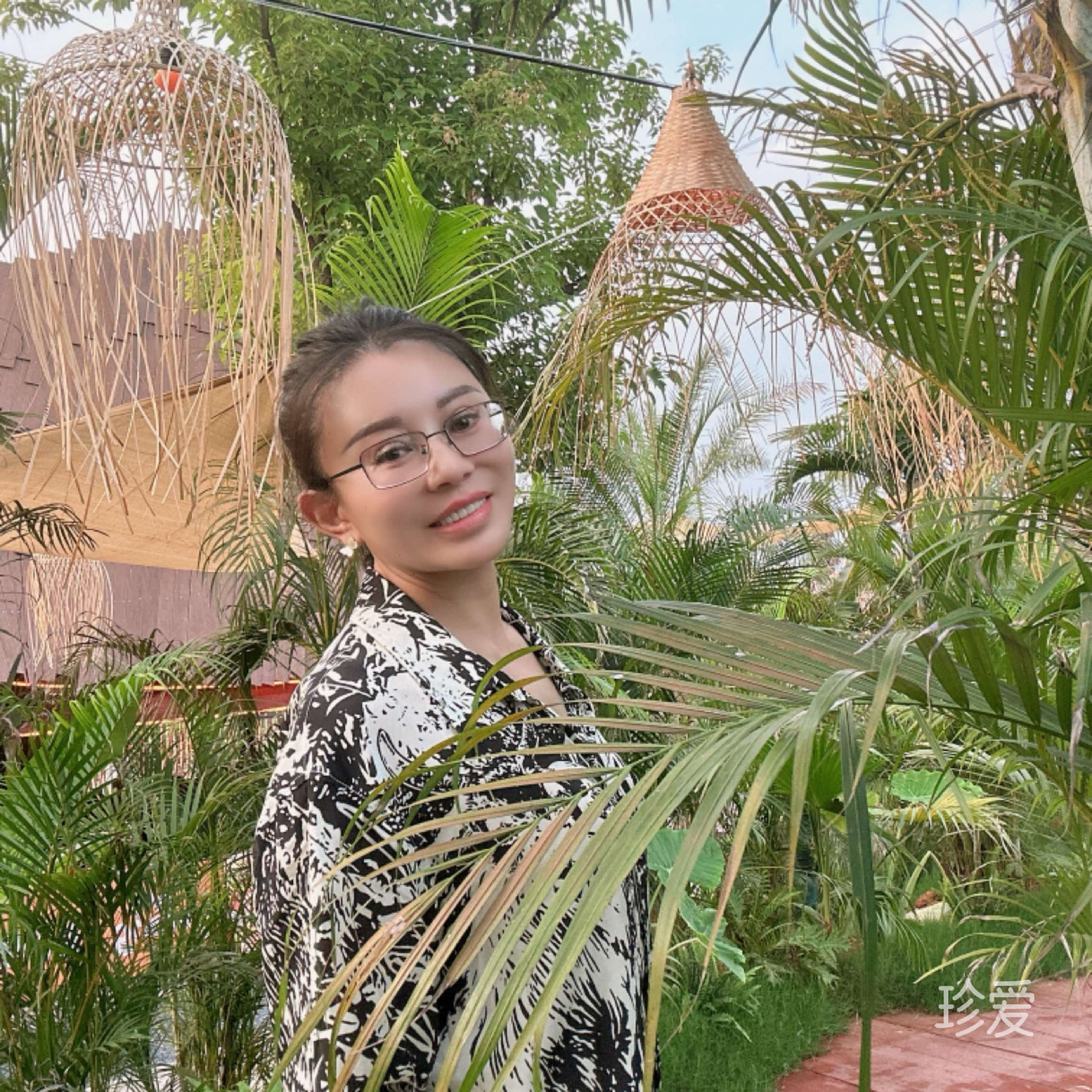 单飞的翅膀