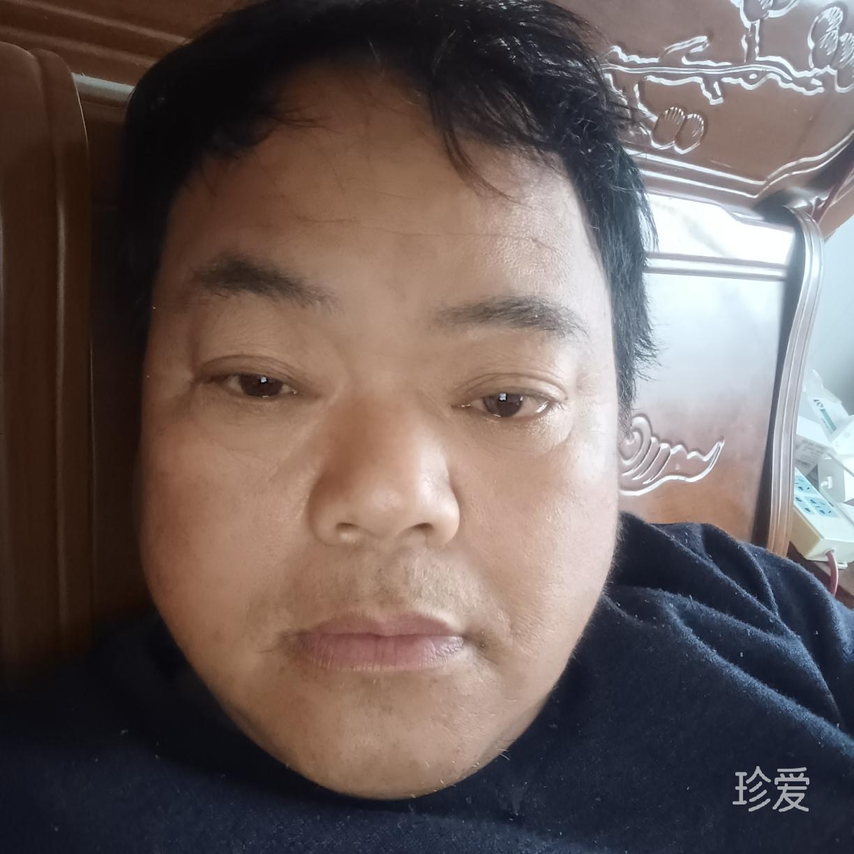 小小猪