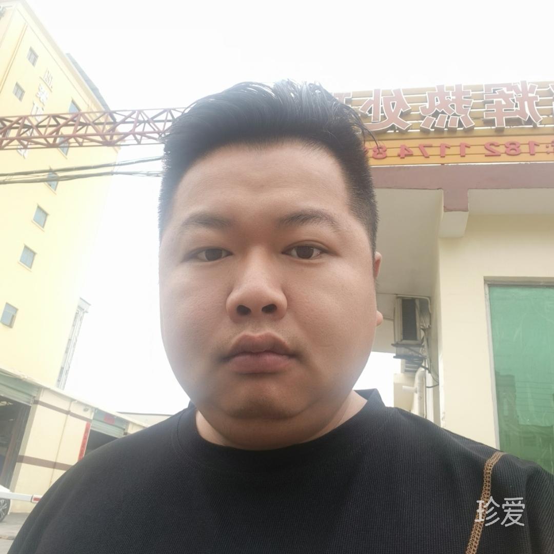 向上游的鱼