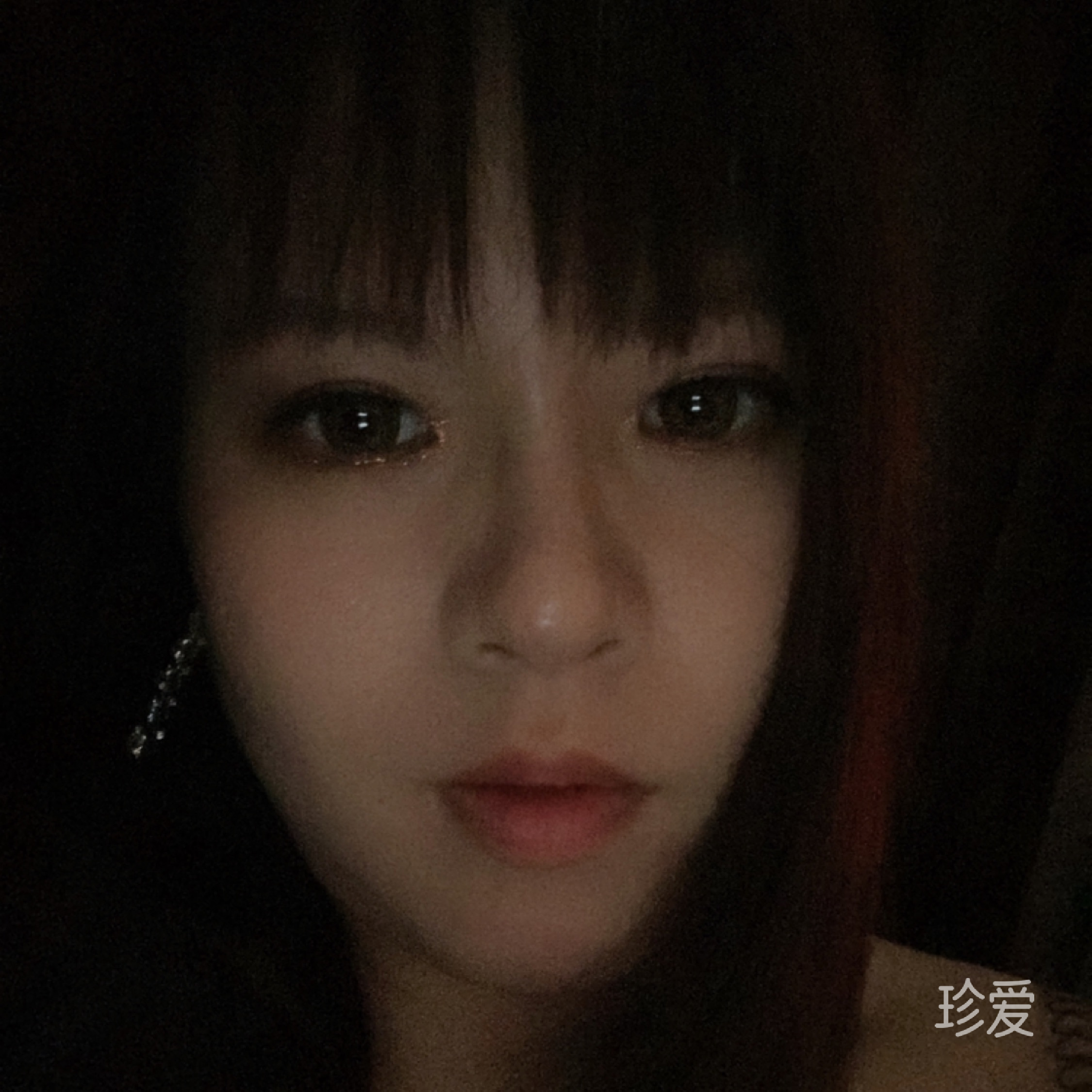 螢火蟲夜的星光