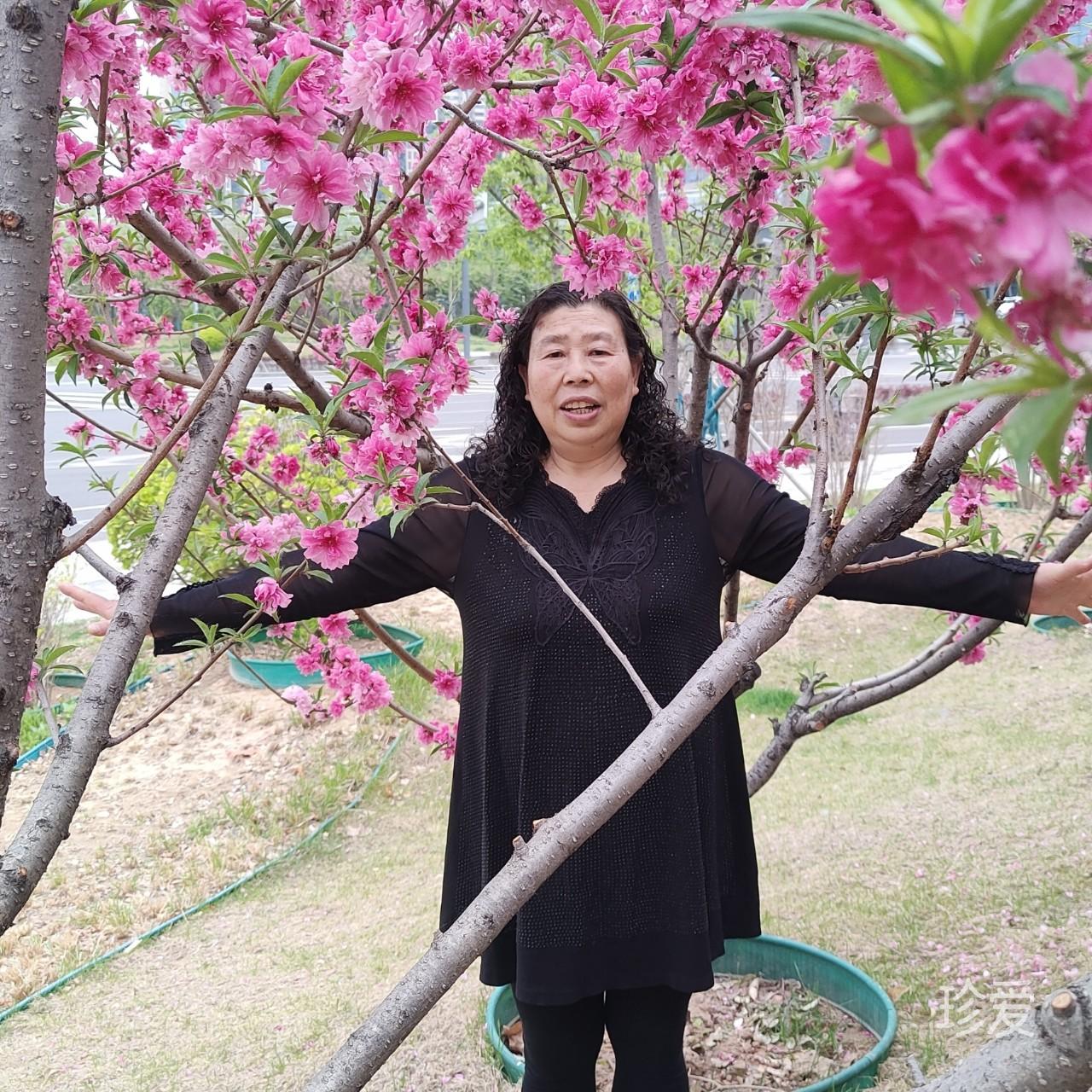 月光下的你