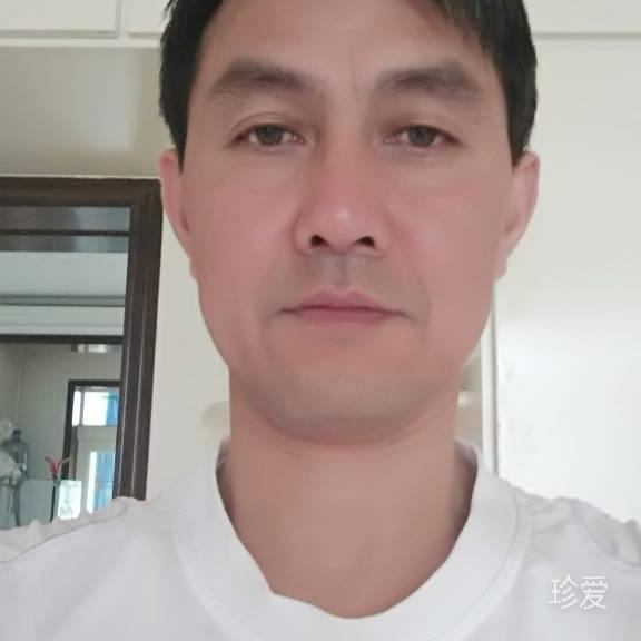 寻找最后的港湾