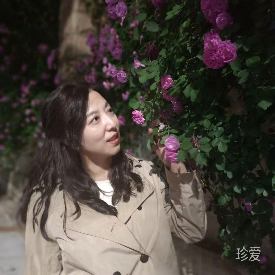 榴花照宫闱
