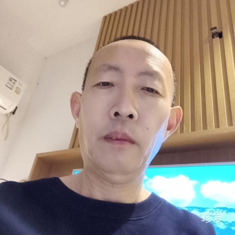 身世浮沉雨打萍