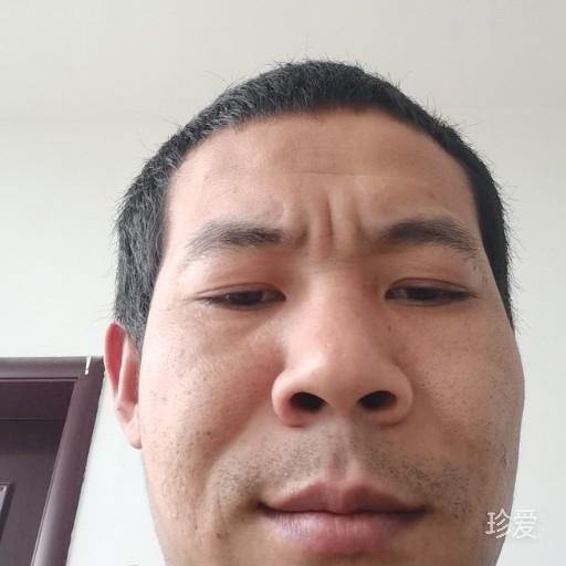 轩逸