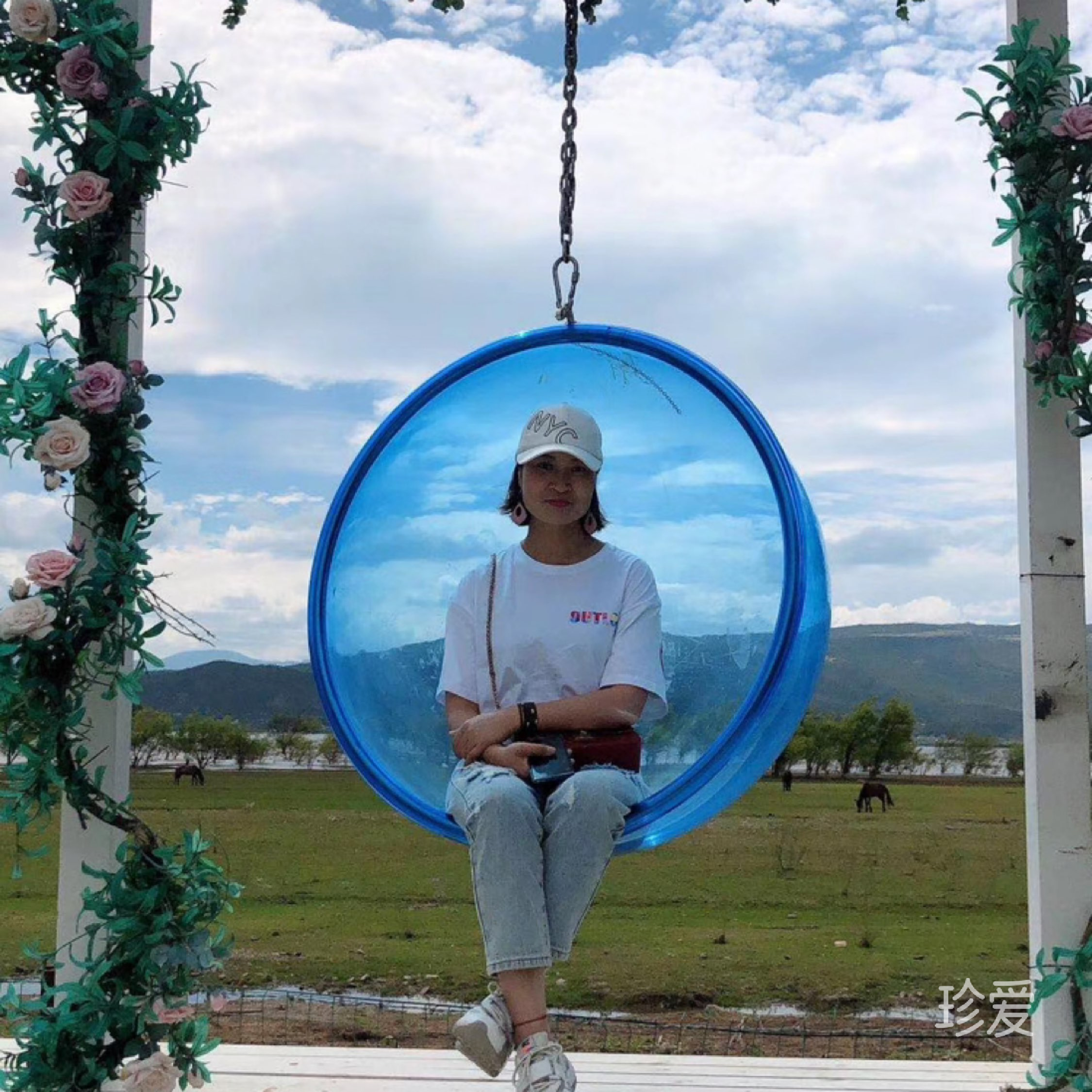 摇曳的蜻蜓