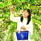 夜空里的一抹亮光