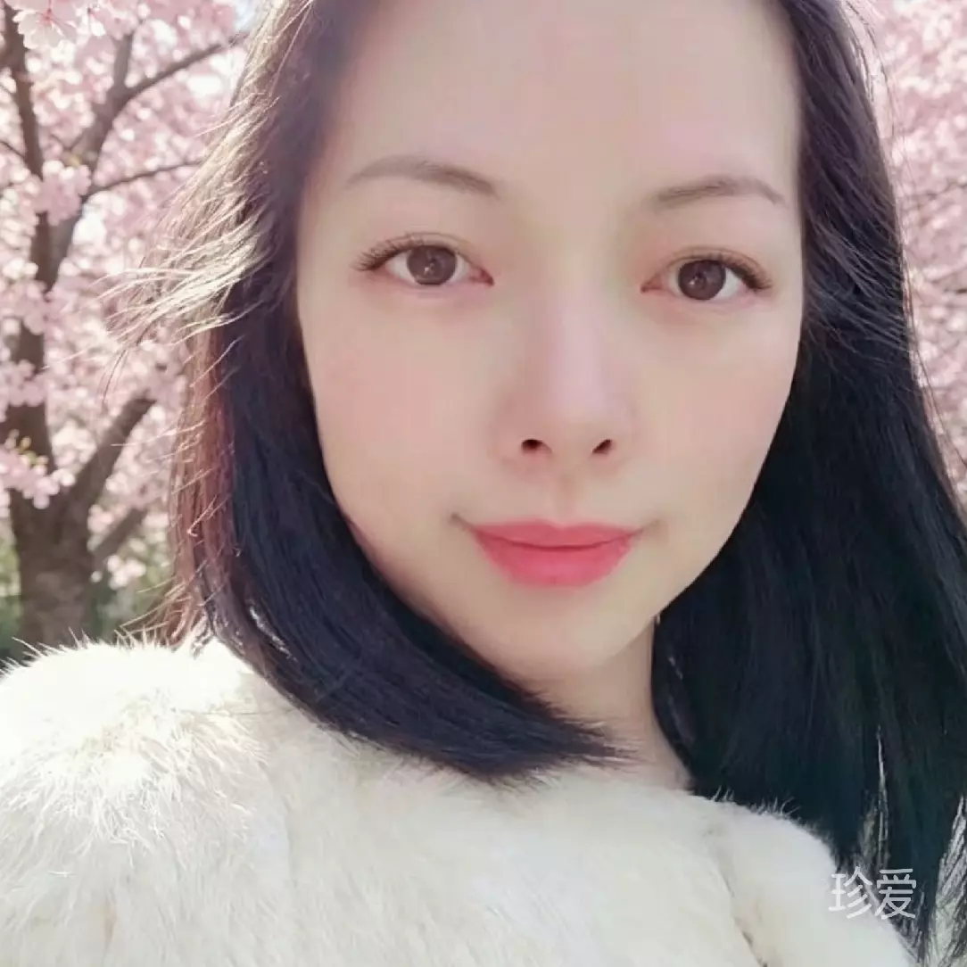 清叙