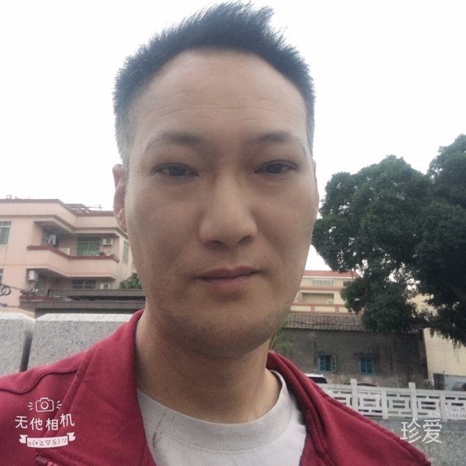 南海龙