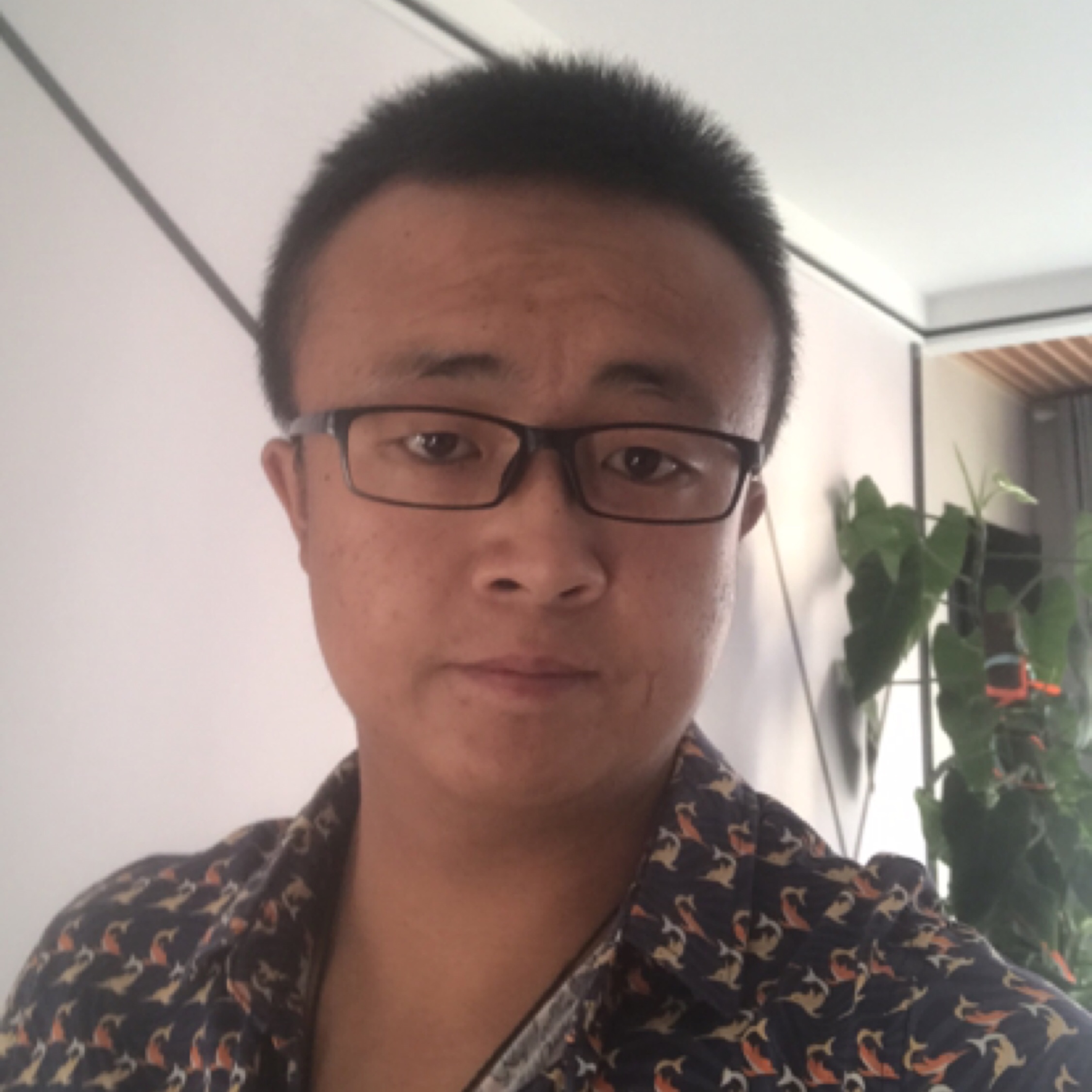 简简单单的幸福