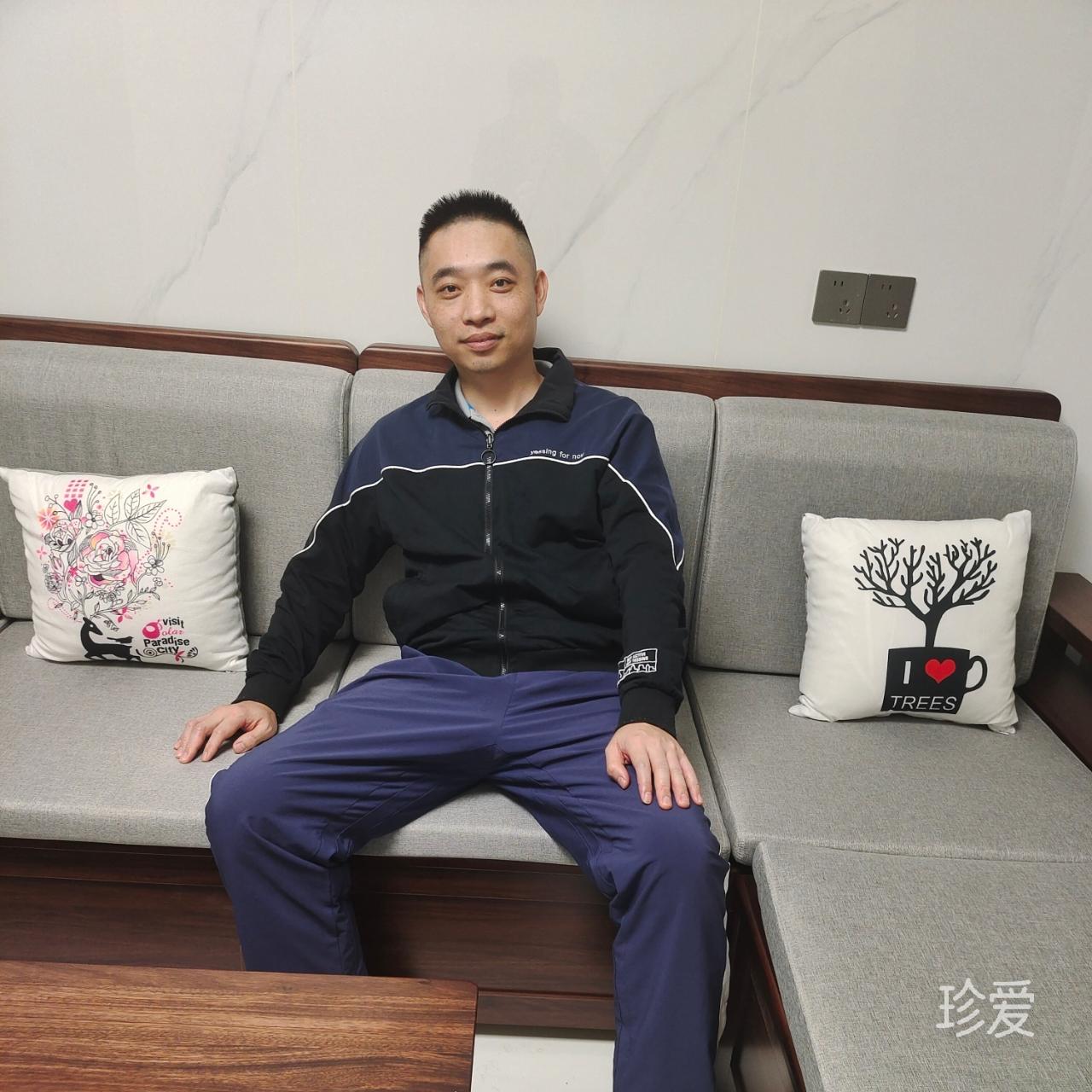 黃日映白榕蔭靜