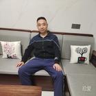 黃日映白榕蔭靜