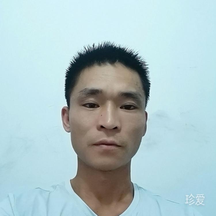 踏风沐青云