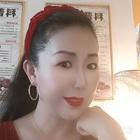 尋夢(mèng)的翅膀
