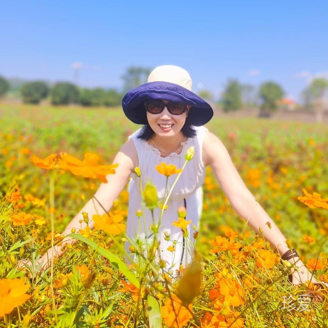 城市鄉(xiāng)下人