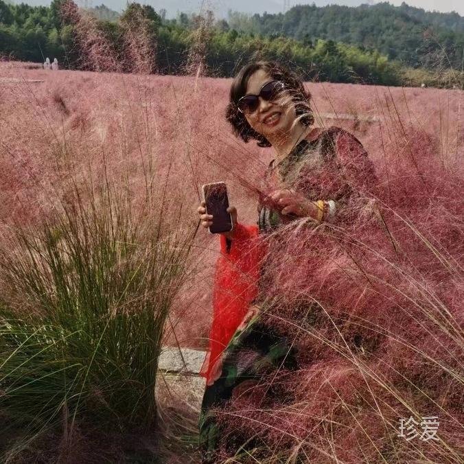 淡雅清香