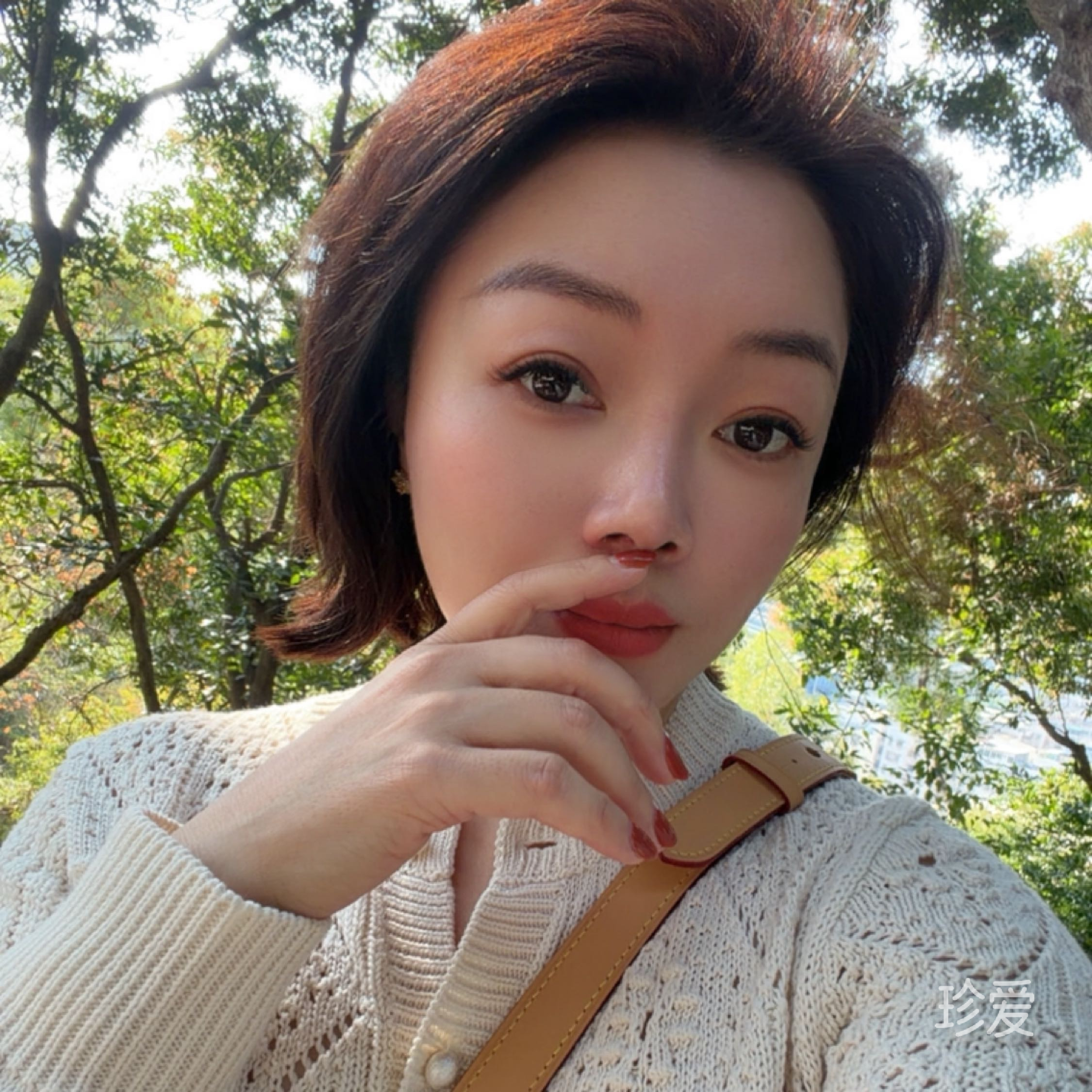 蝶舞飞扬