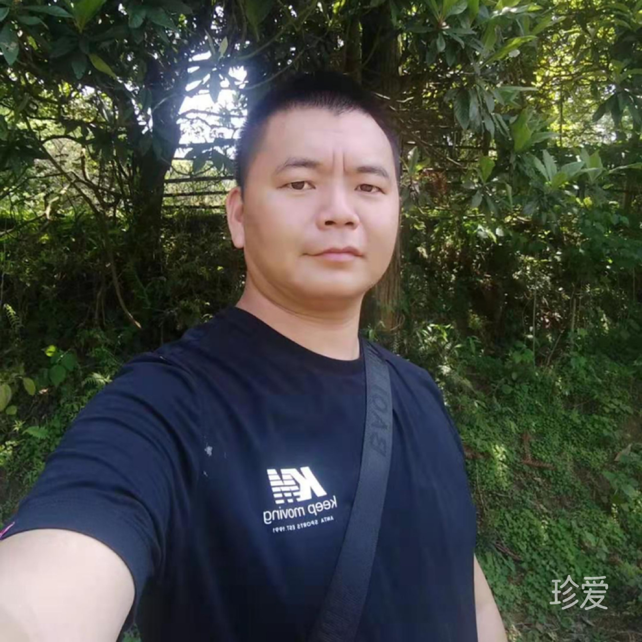 陽(yáng)光的楓葉