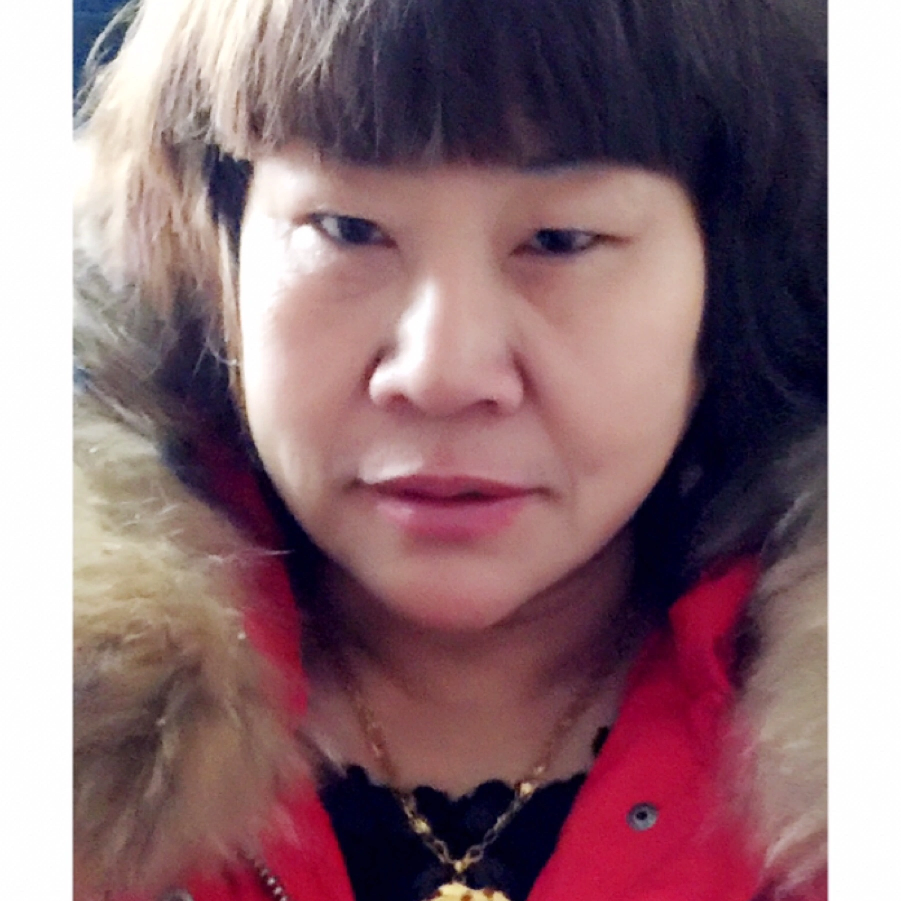 也無風雨也無晴