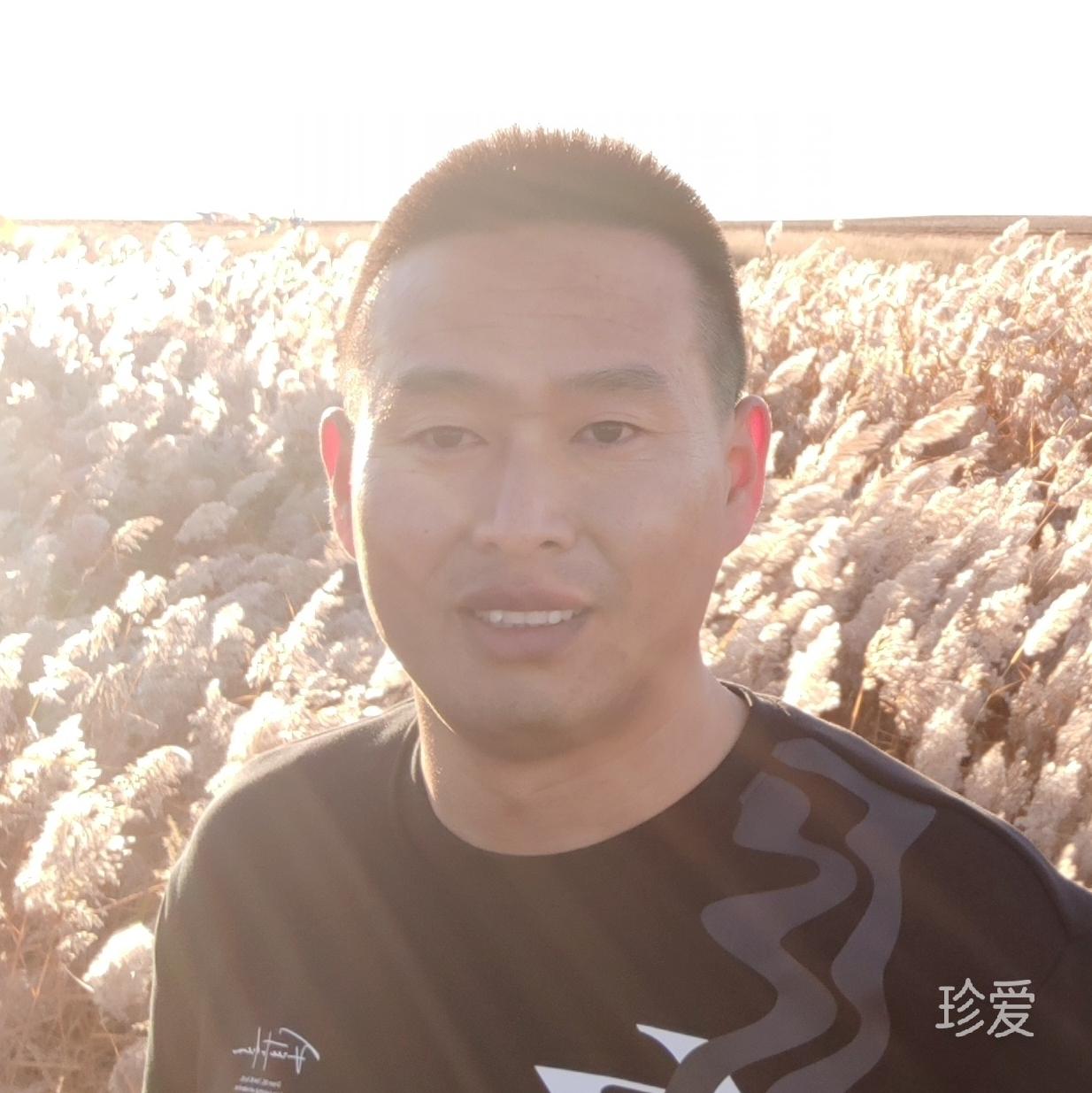 reason顽张