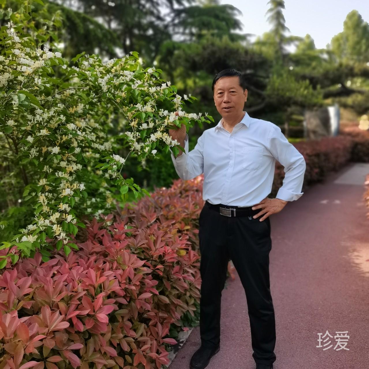 不再为谁醉