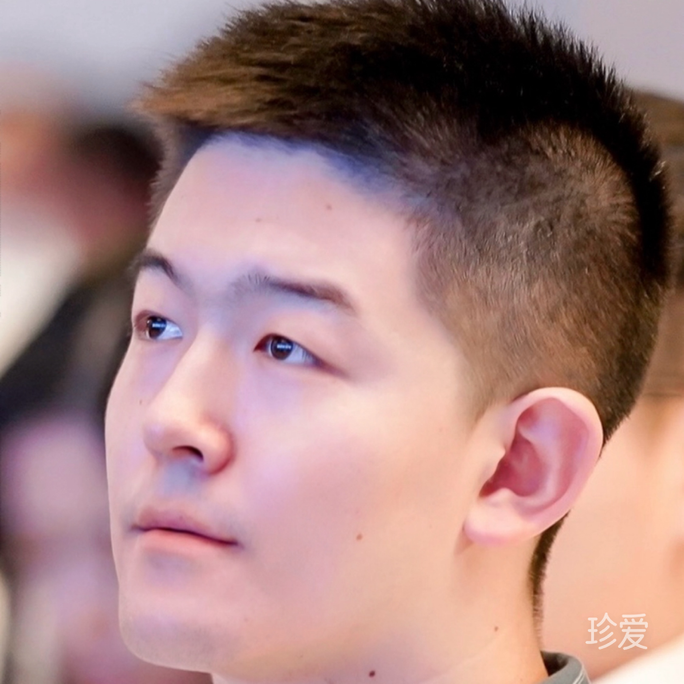 爱在阳光里