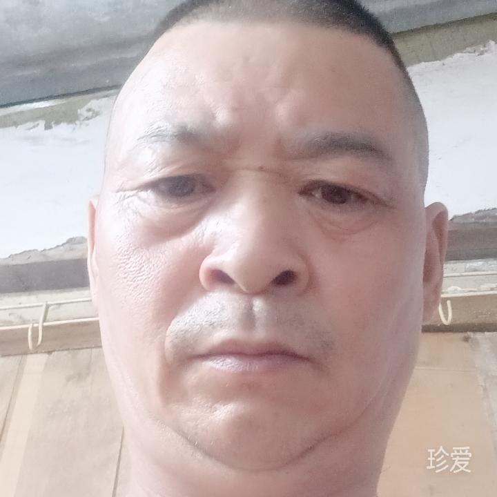 雄壮的狼