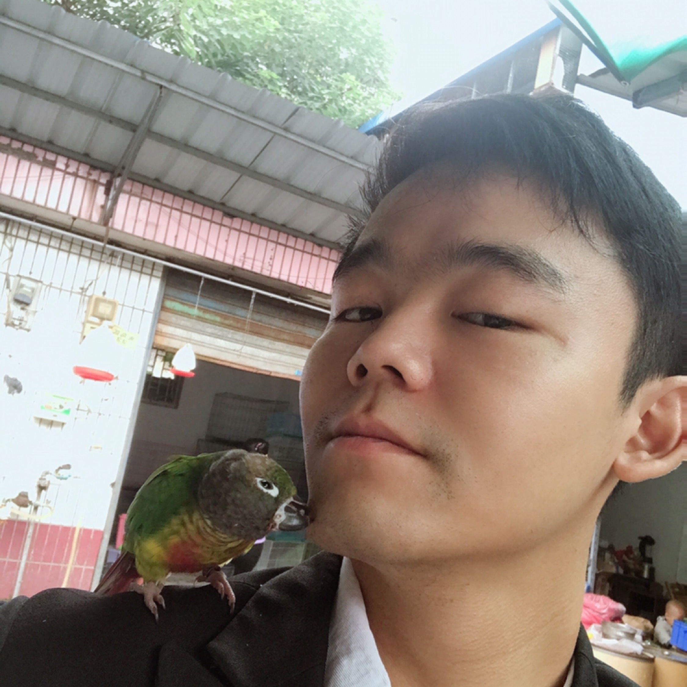 情缘聚散皆慌张