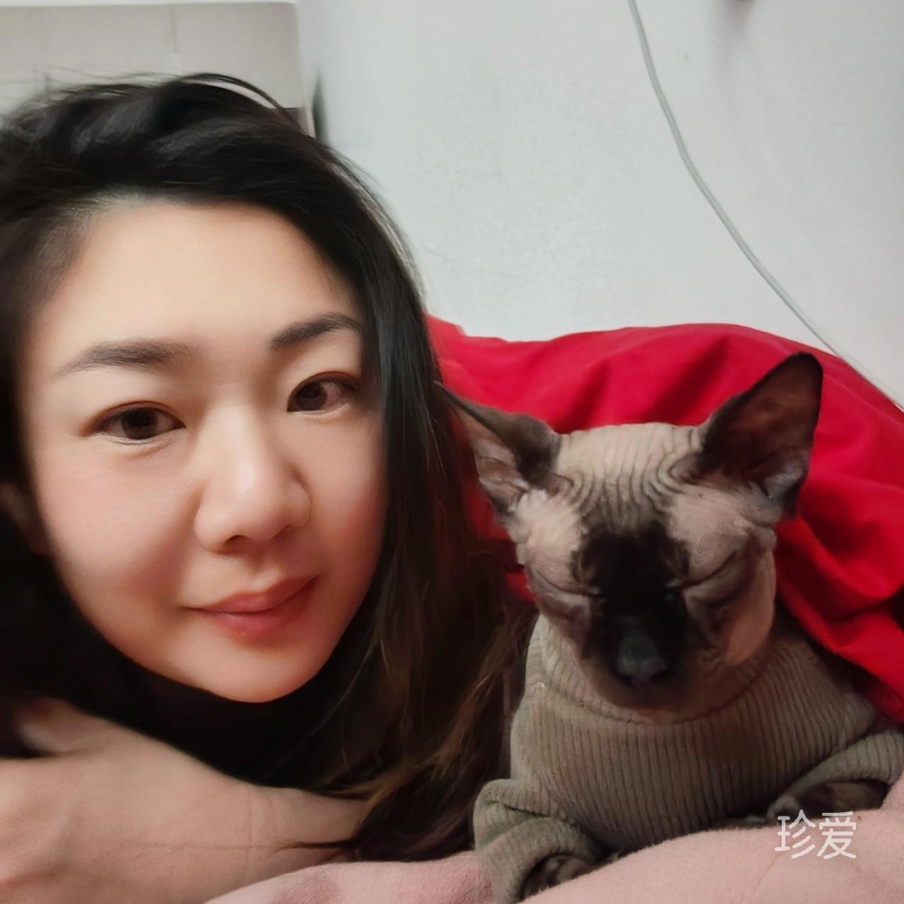 海棠花盛开