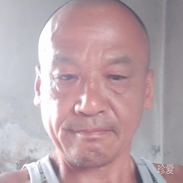 风临稀竹