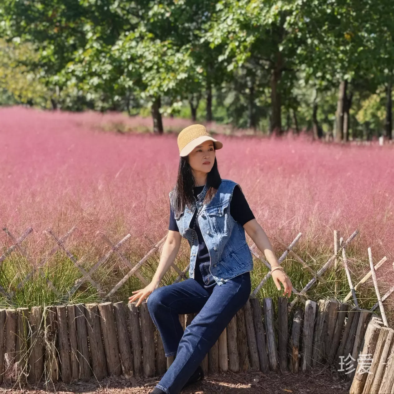 麦麦兜