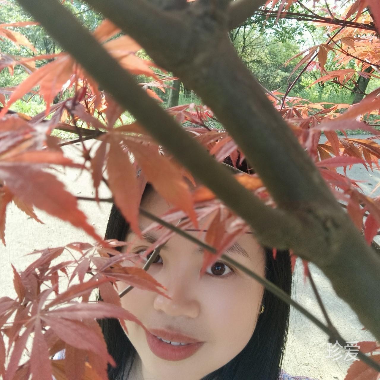 紫月