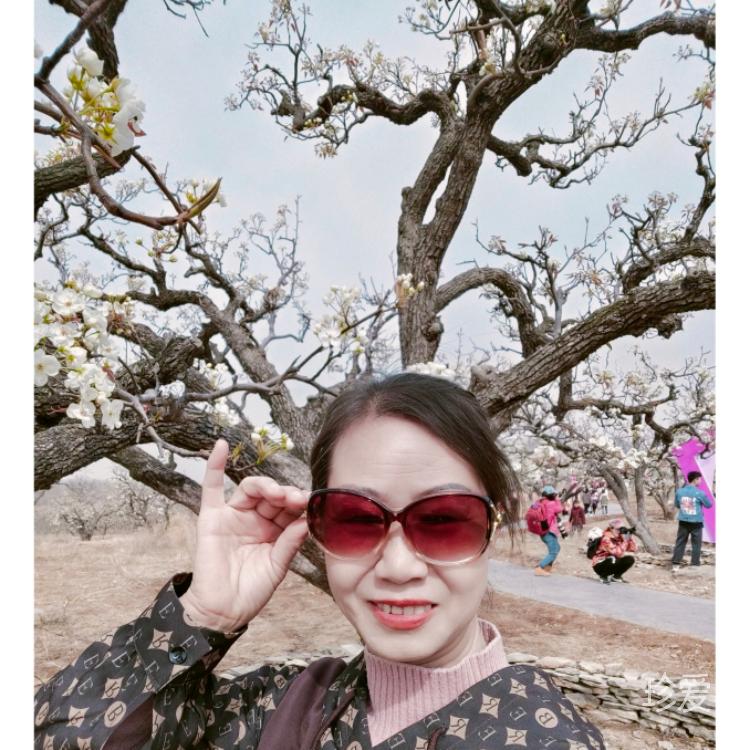 缘是可遇不可求的