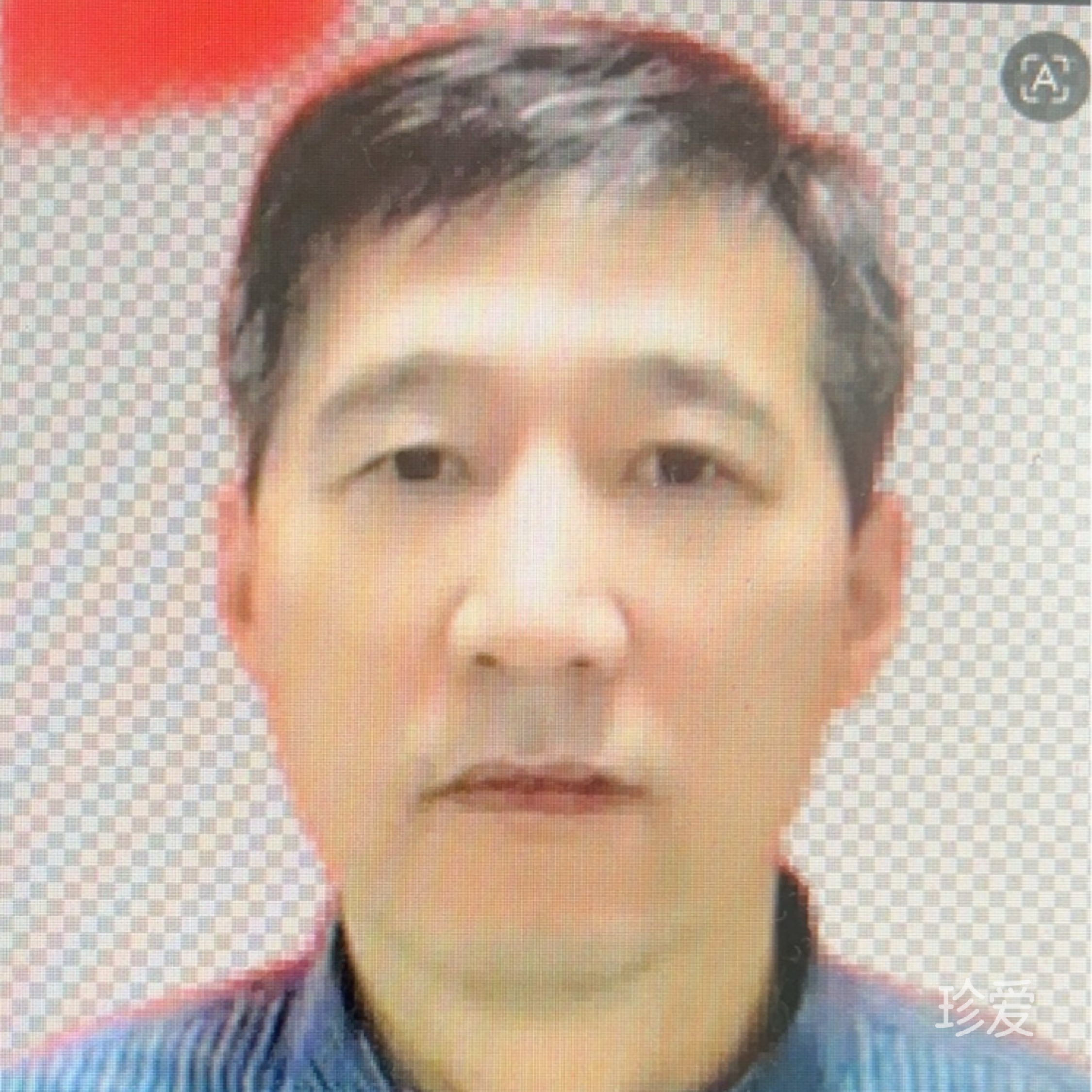 春色满园